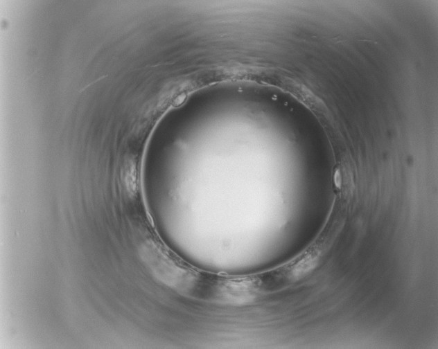 X0000056030479200508261911