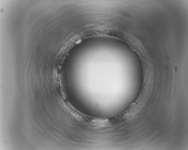 X0000056030480200508261911