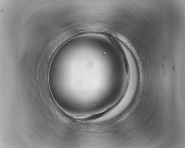 X0000056030481200508261910