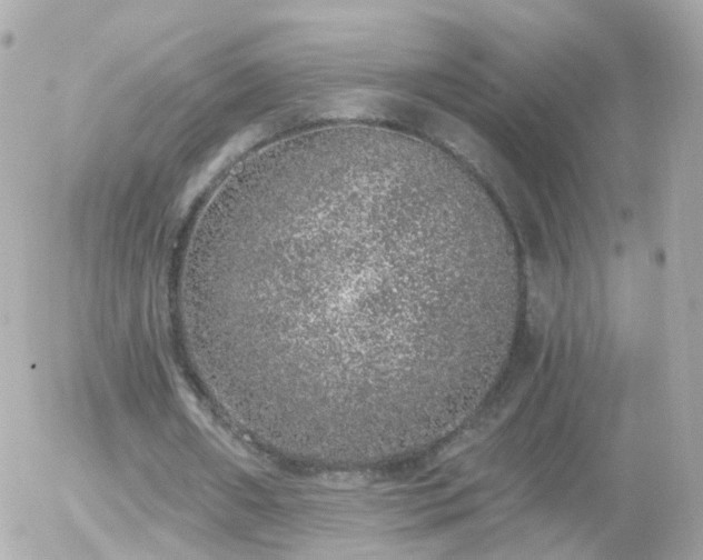 X0000056030482200508261910