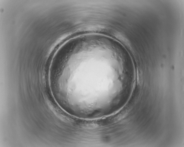 X0000056030483200508261910