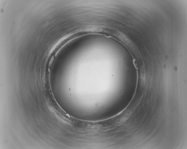 X0000056030484200508261910