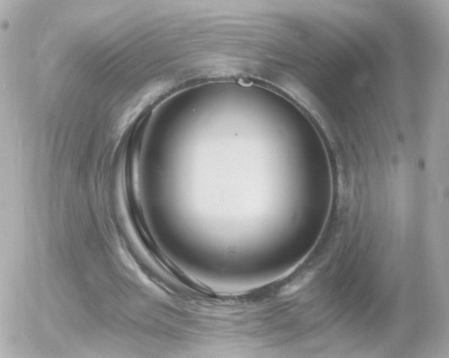 X0000056030485200508261910