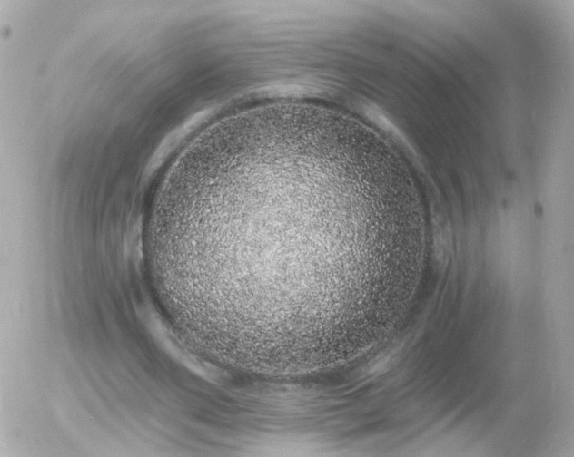 X0000056030486200508261910