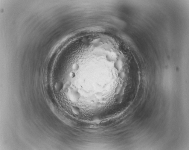 X0000056030487200508261910