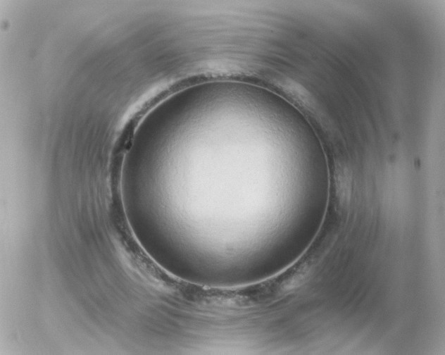 X0000056030488200508261910