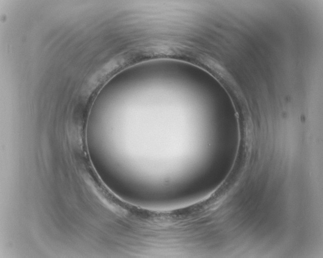 X0000056030489200508261910