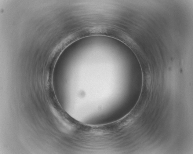 X0000056030490200508261910