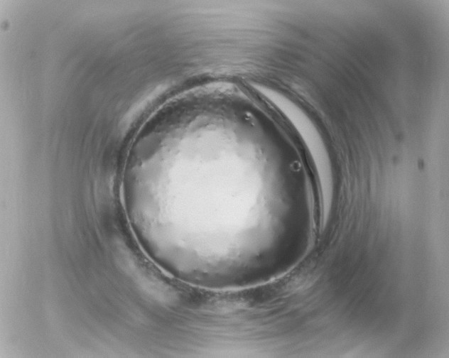 X0000056030491200508261910