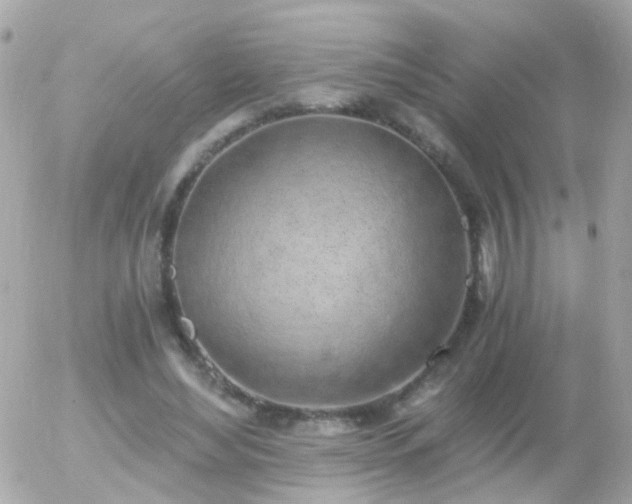 X0000056030492200508261910