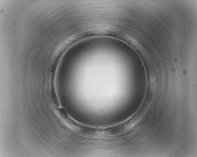 X0000056030493200508261910