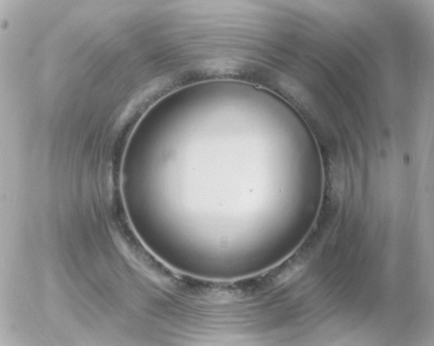 X0000056030494200508261910