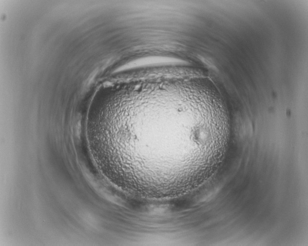 X0000056030495200508261910