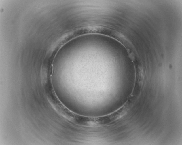 X0000056030496200508261910