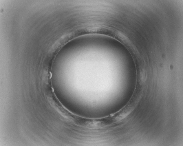 X0000056030497200508261910