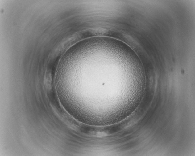 X0000056030498200508261910