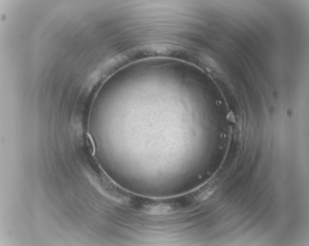 X0000056030500200508261910