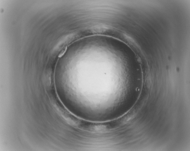 X0000056030501200508261910