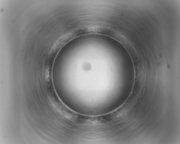 X0000056030502200508261910