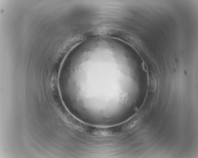 X0000056030503200508261910