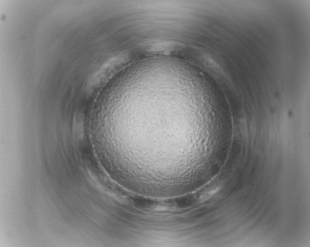 X0000056030504200508261910