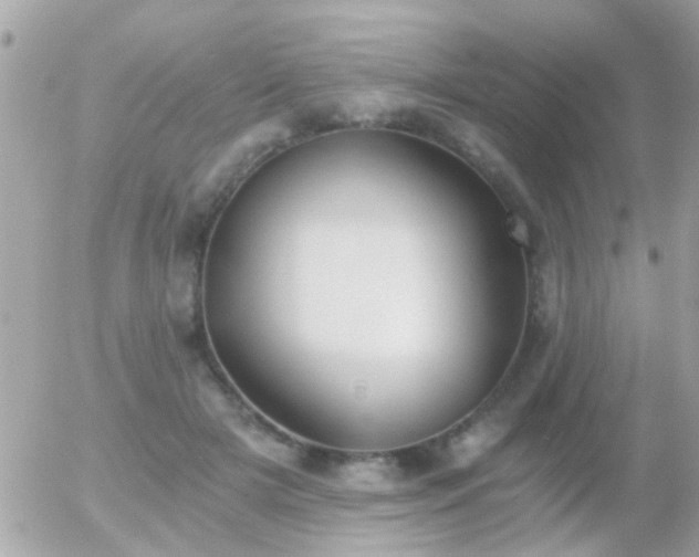 X0000056030505200508261910