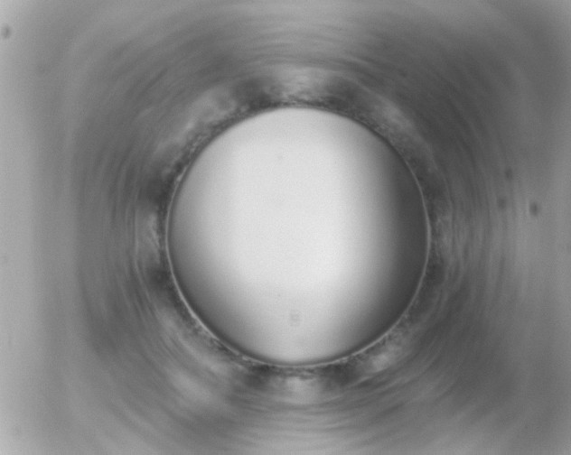 X0000056030506200508261910