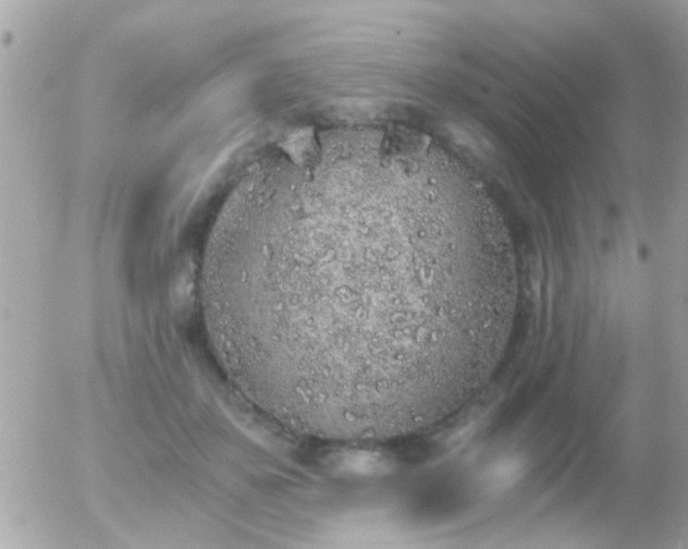 X0000056030507200508261910