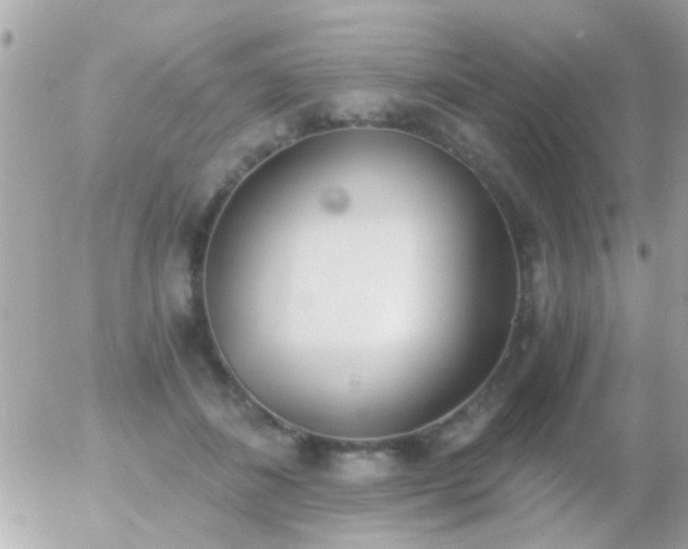 X0000056030508200508261910