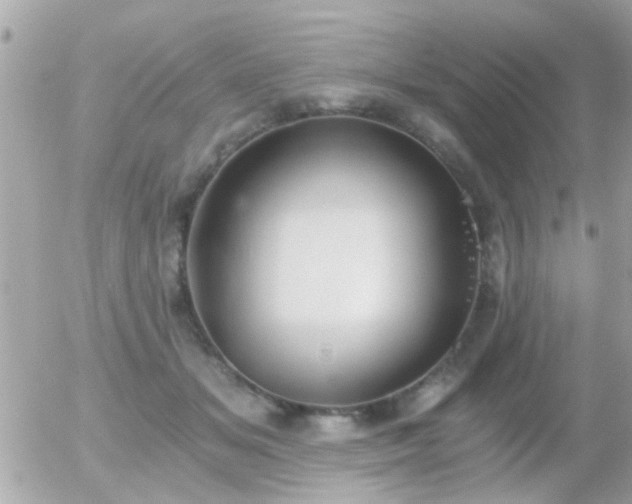 X0000056030509200508261910