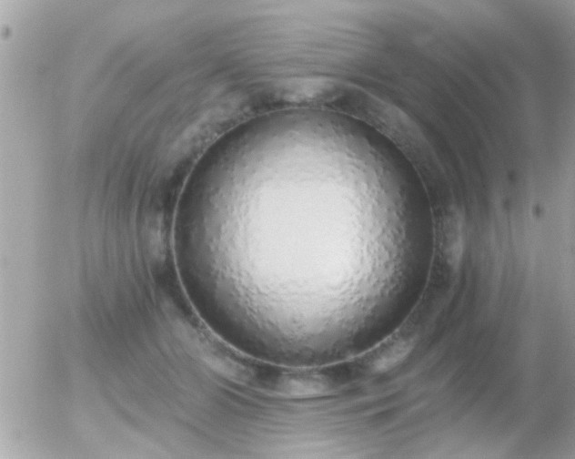 X0000056030510200508261910