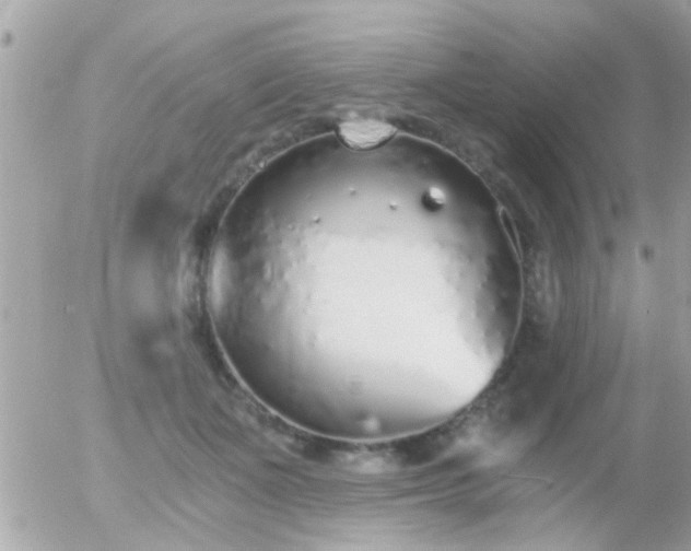 X0000056030511200508261910