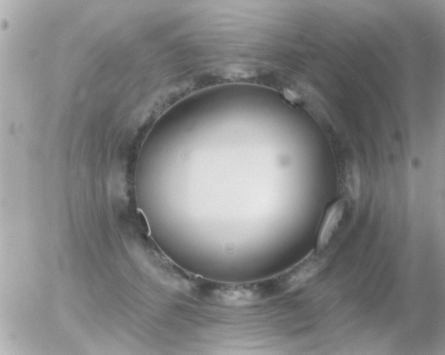 X0000056030512200508261910