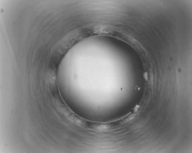 X0000056030513200508261910