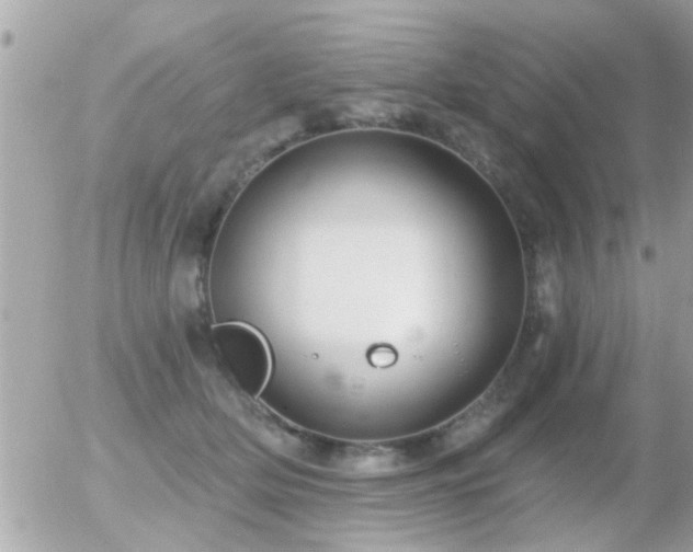 X0000056030514200508261910