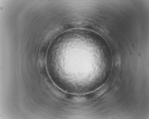 X0000056030515200508261910