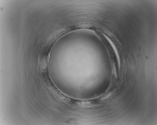 X0000056030517200508261910