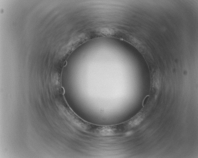 X0000056030518200508261910