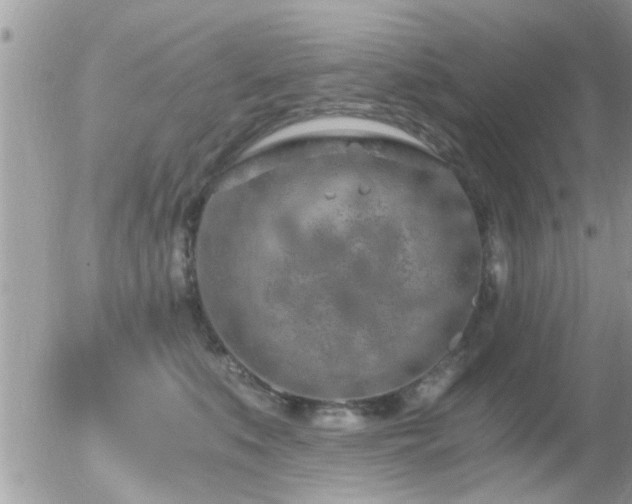 X0000056030519200508261910