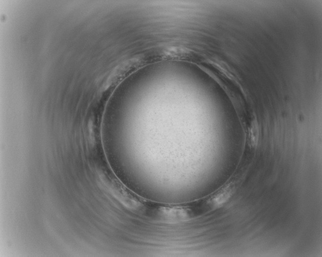 X0000056030520200508261910