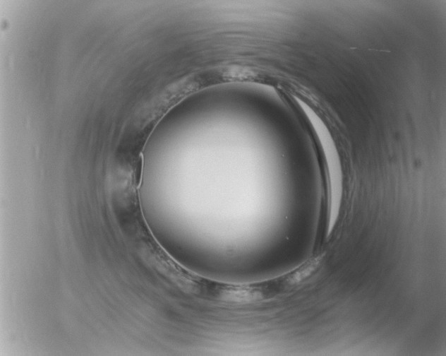 X0000056030521200508261910