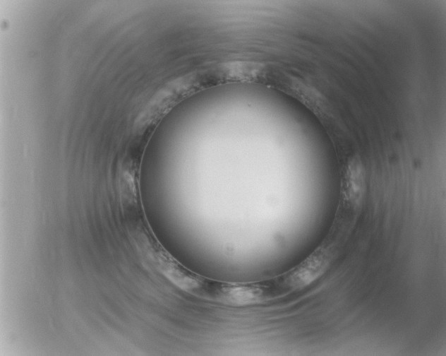 X0000056030522200508261910