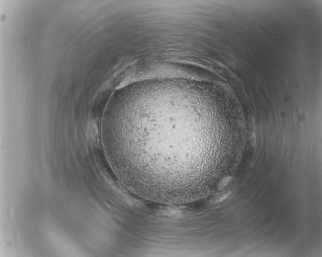 X0000056030523200508261910