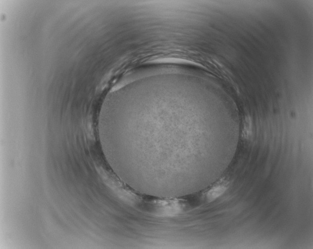 X0000056030524200508261910