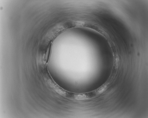 X0000056030525200508261910