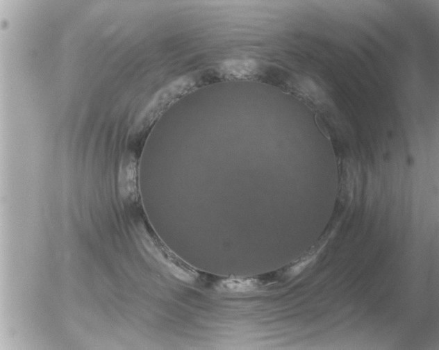 X0000056030526200508261910