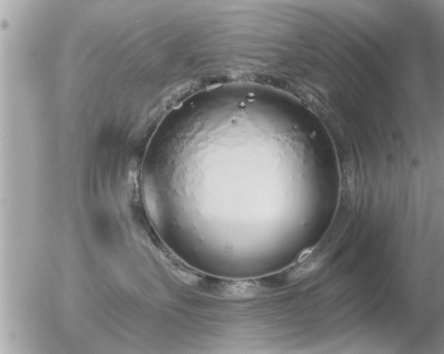 X0000056030527200508261910