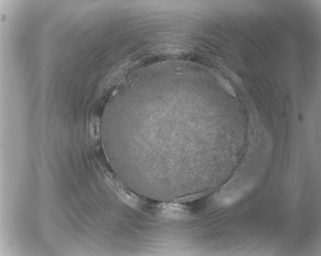 X0000056030528200508261910