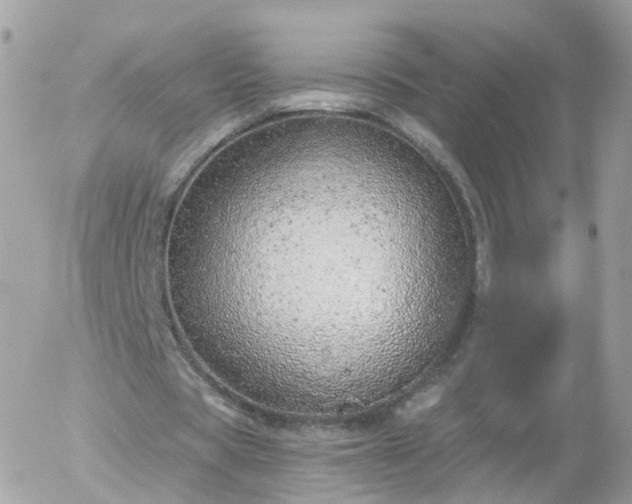 X0000056030529200508261909