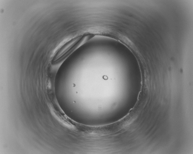 X0000056030530200508261909